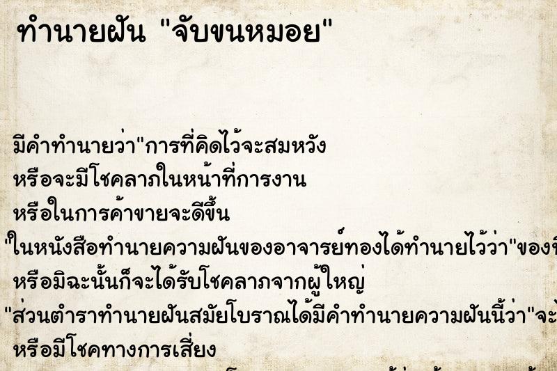 ทำนายฝันจับขนหมอย ทำนายฝันทำนายฝันจับขนหมอย