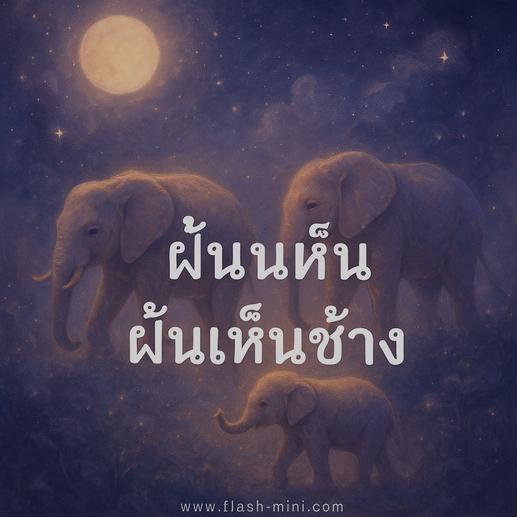 ฝันเห็นช้าง3ตัว