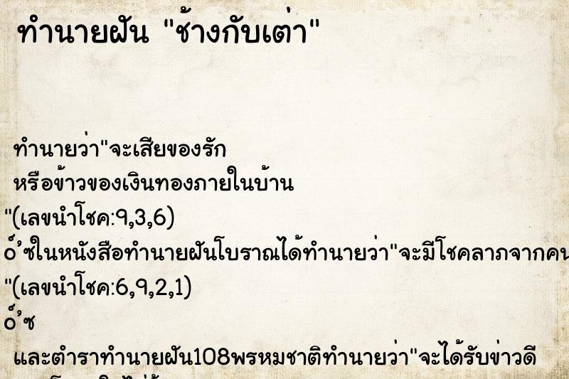 ทำนายฝัน ช้างกับเต่า ตำราโบราณ แม่นที่สุดในโลก