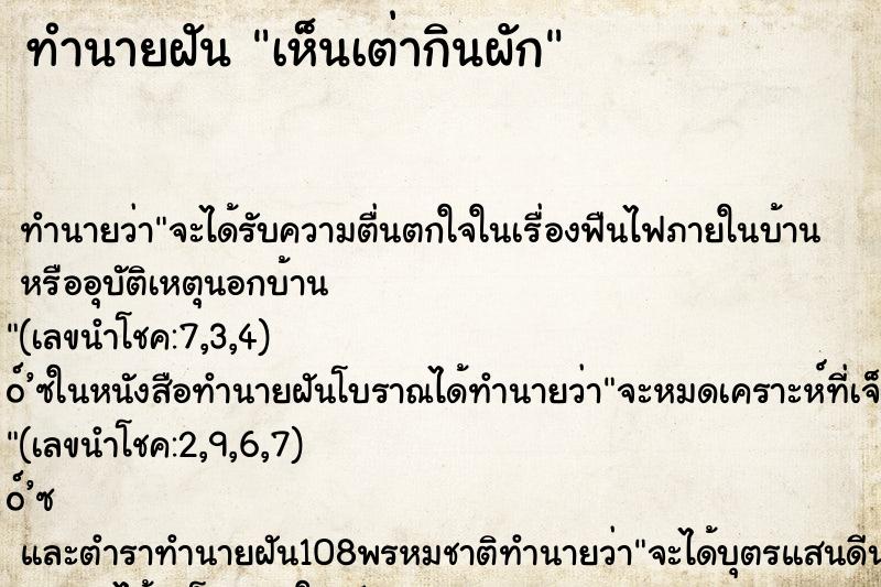 ทำนายฝันเห็นเต่ากินผัก ทำนายฝันทำนายฝันเห็นเต่ากินผัก