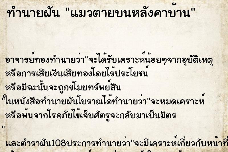 ทำนายฝัน แมวตายบนหลังคาบ้าน ตำราโบราณ แม่นที่สุดในโลก