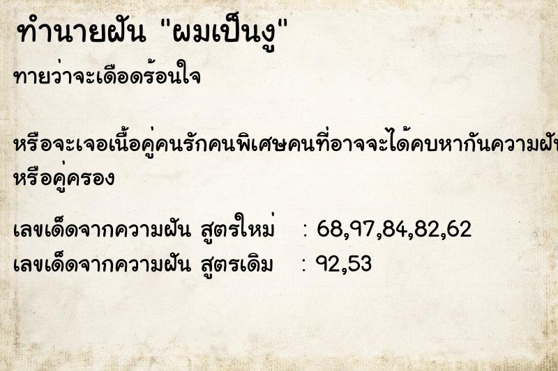 ทำนายฝัน ผมเป็นงู ทำนายฝัน ผมเป็นงู