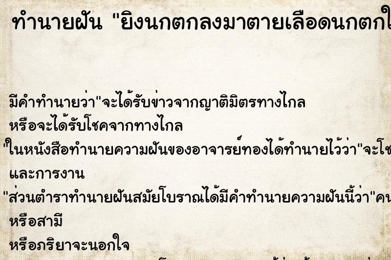 ทำนายฝันยิงนกตกลงมาตายเลือดนกตกใส่หัว ทำนายฝันทำนายฝันยิงนกตกลงมาตายเลือดนกตกใส่หัว