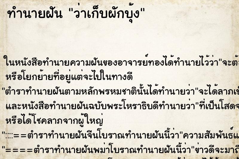 ทำนายฝัน ว่าเก็บผักบุ้ง ทำนายฝัน ว่าเก็บผักบุ้ง