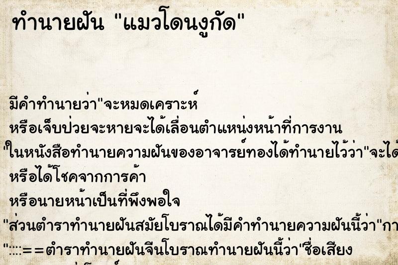 ทำนายฝัน แมวโดนงูกัด ทำนายฝัน แมวโดนงูกัด