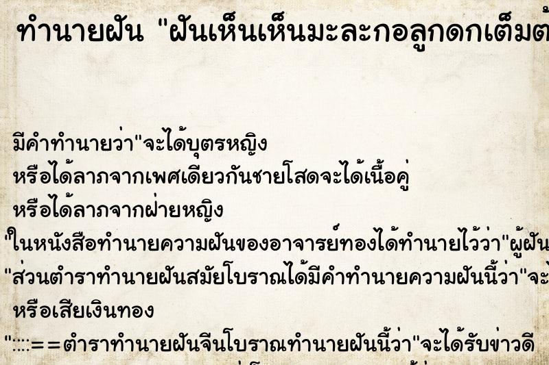 ทำนายฝัน ฝันเห็นเห็นมะละกอลูกดกเต็มต้น ทำนายฝัน ฝันเห็นเห็นมะละกอลูกดกเต็มต้น
