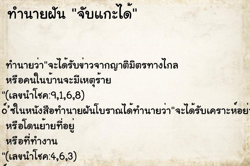 ทำนายฝันจับแกะได้ ทำนายฝันทำนายฝันจับแกะได้