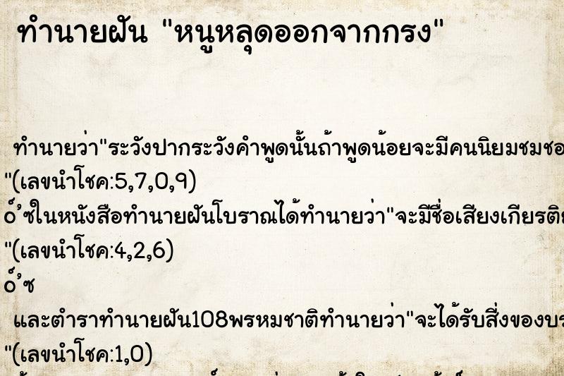 ทำนายฝันหนูหลุดออกจากกรง ทำนายฝันทำนายฝันหนูหลุดออกจากกรง