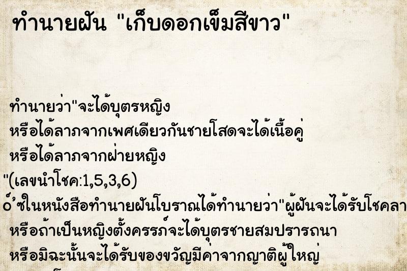 ทำนายฝัน เก็บดอกเข็มสีขาว
