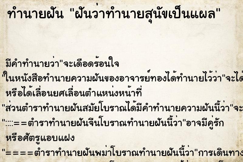 ทำนายฝันฝันว่าทำนายสุนัขเป็นแผล ทำนายฝันทำนายฝันฝันว่าทำนายสุนัขเป็นแผล