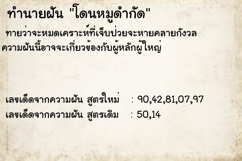 ทำนายฝันโดนหมูดำกัด ทำนายฝันทำนายฝันโดนหมูดำกัด