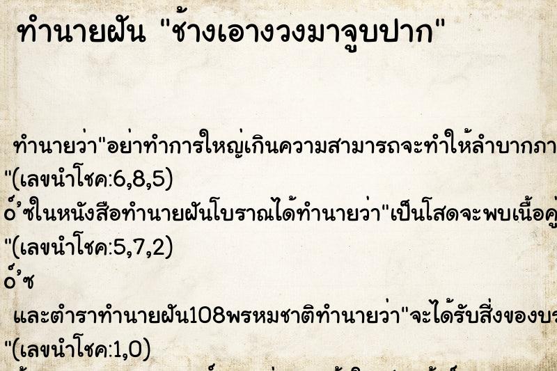 ทำนายฝัน ช้างเอางวงมาจูบปาก ทำนายฝัน ช้างเอางวงมาจูบปาก