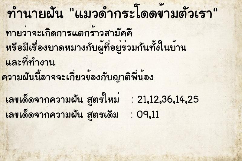 ทำนายฝัน แมวดำกระโดดข้ามตัวเรา ทำนายฝัน แมวดำกระโดดข้ามตัวเรา