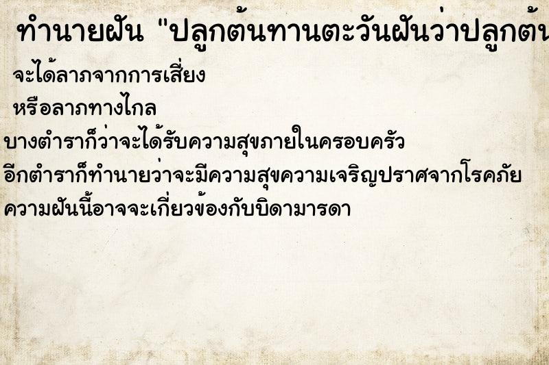 ทำนายฝันทำนายฝันปลูกต้นทานตะวันฝันว่าปลูกต้นทานตะวัน