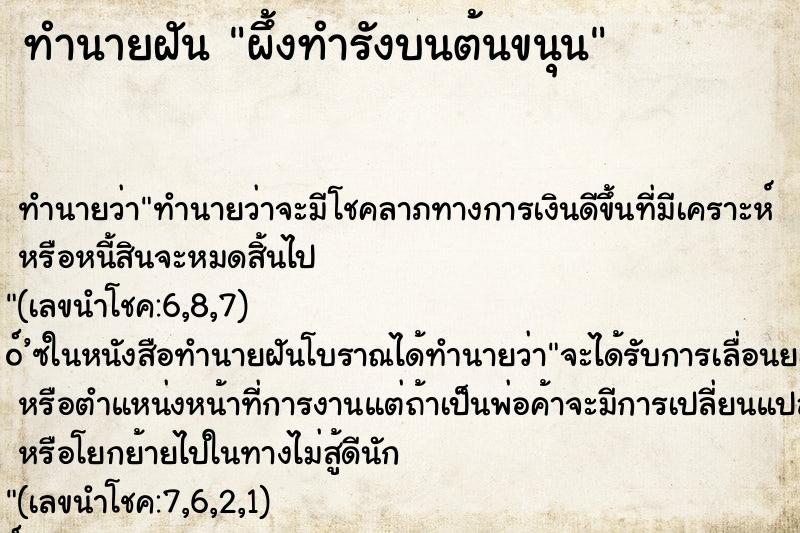 ทำนายฝันผึ้งทำรังบนต้นขนุน ทำนายฝันทำนายฝันผึ้งทำรังบนต้นขนุน