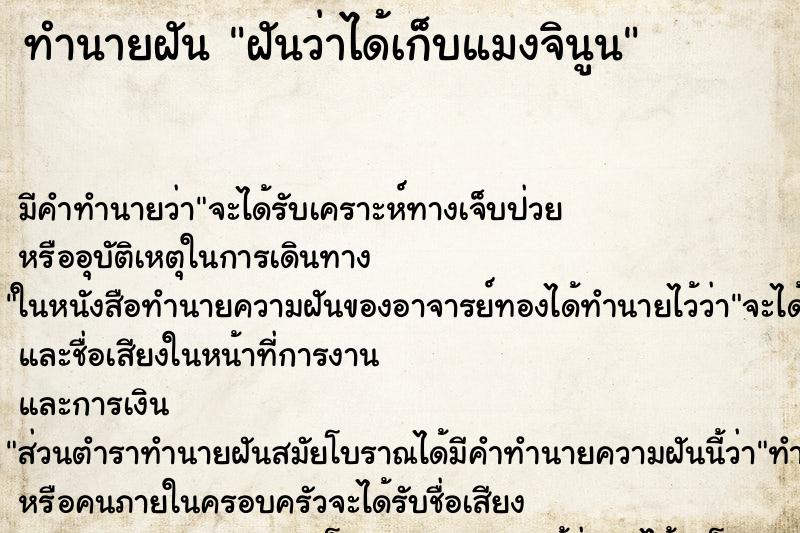 ทำนายฝัน ฝันว่าได้เก็บแมงจินูน ทำนายฝัน ฝันว่าได้เก็บแมงจินูน