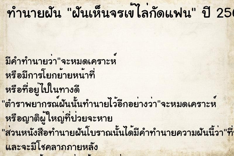 ทำนายฝันฝันเห็นจรเข้ไล่กัดแฟน ทำนายฝันทำนายฝันฝันเห็นจรเข้ไล่กัดแฟน
