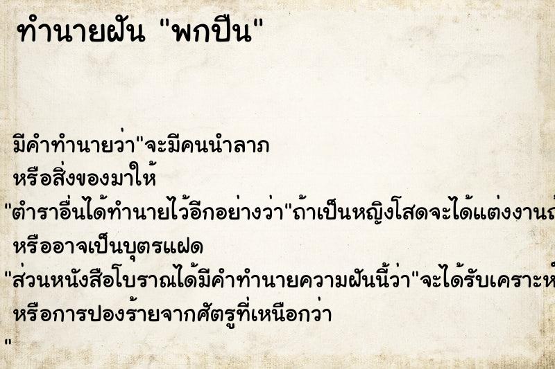 ทำนายฝันทำนายฝันพกปืน