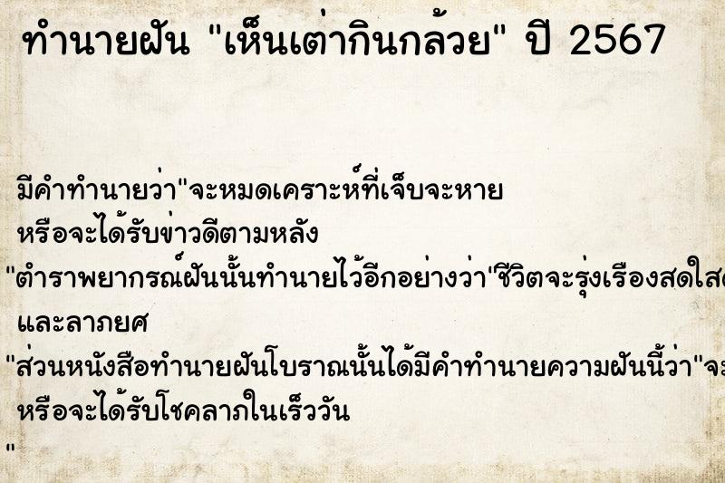 ทำนายฝันเห็นเต่ากินกล้วย ทำนายฝันทำนายฝันเห็นเต่ากินกล้วย