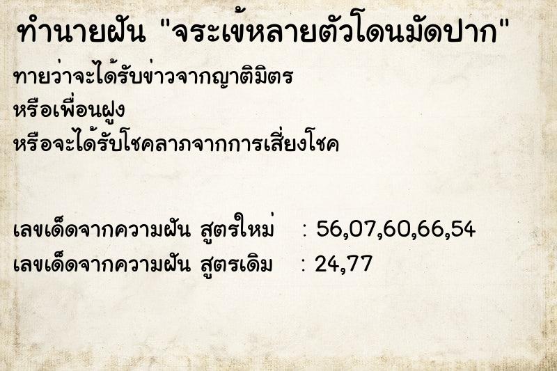 ทำนายฝันทำนายฝันจระเข้หลายตัวโดนมัดปาก