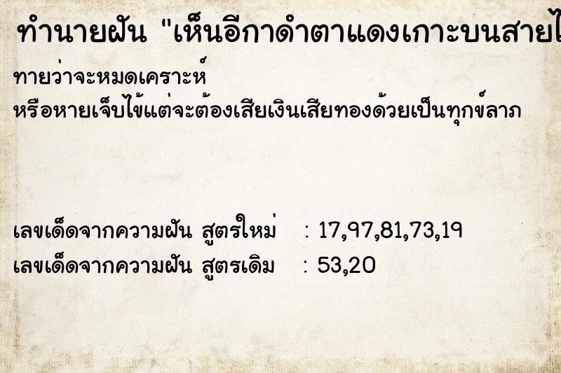 ทำนายฝันทำนายฝันเห็นอีกาดำตาแดงเกาะบนสายไฟฟ้าแล้วร้อง