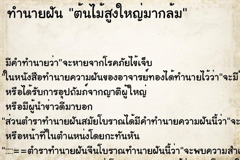 ทำนายฝันต้นไม้สูงใหญ่มากล้ม ทำนายฝันทำนายฝันต้นไม้สูงใหญ่มากล้ม