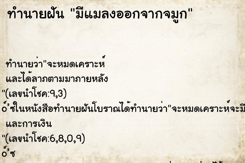 ทำนายฝัน มีแมลงออกจากจมูก