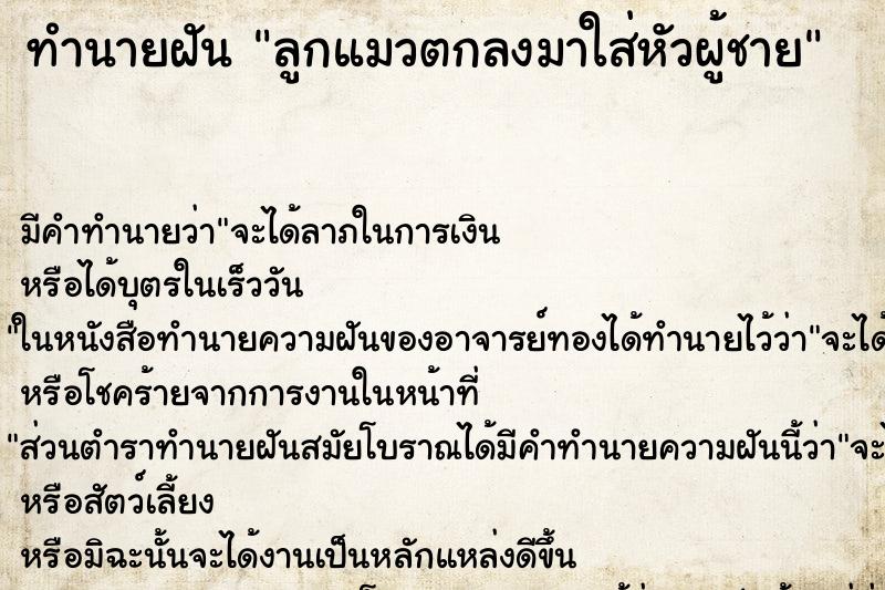 ทำนายฝัน ลูกแมวตกลงมาใส่หัวผู้ชาย ทำนายฝัน ลูกแมวตกลงมาใส่หัวผู้ชาย