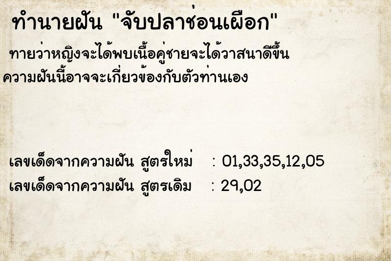 ทำนายฝันจับปลาช่อนเผือก ทำนายฝันทำนายฝันจับปลาช่อนเผือก