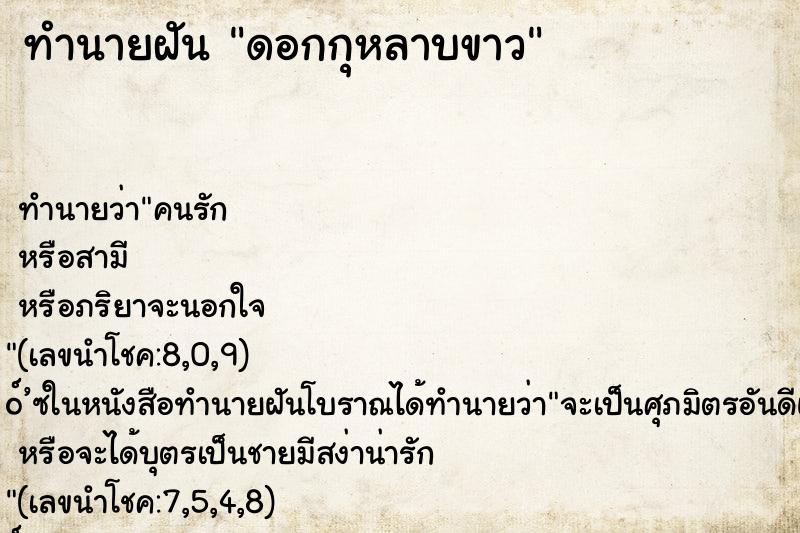 ทำนายฝัน ดอกกุหลาบขาว ทำนายฝัน ดอกกุหลาบขาว