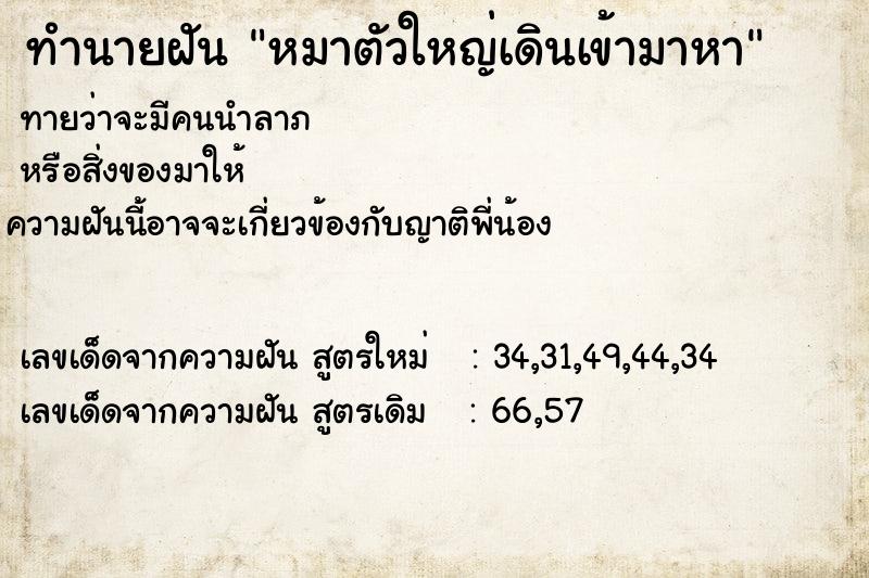 ทำนายฝันหมาตัวใหญ่เดินเข้ามาหา ทำนายฝันทำนายฝันหมาตัวใหญ่เดินเข้ามาหา