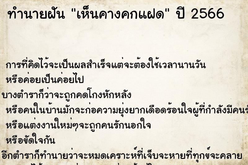 ทำนายฝันทำนายฝันเห็นคางคกแฝด