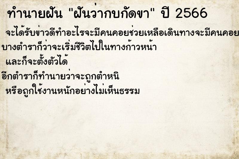 ทำนายฝันฝันว่ากบกัดขา ทำนายฝันทำนายฝันฝันว่ากบกัดขา