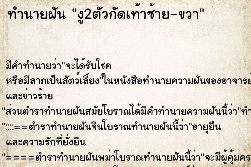 ทำนายฝันงู2ตัวกัดเท้าซ้าย-ขวา ทำนายฝันทำนายฝันงู2ตัวกัดเท้าซ้าย-ขวา