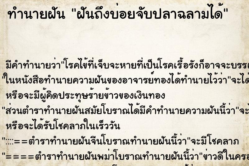 ทำนายฝันฝันถึงบ่อยจับปลาฉลามได้ ทำนายฝันทำนายฝันฝันถึงบ่อยจับปลาฉลามได้