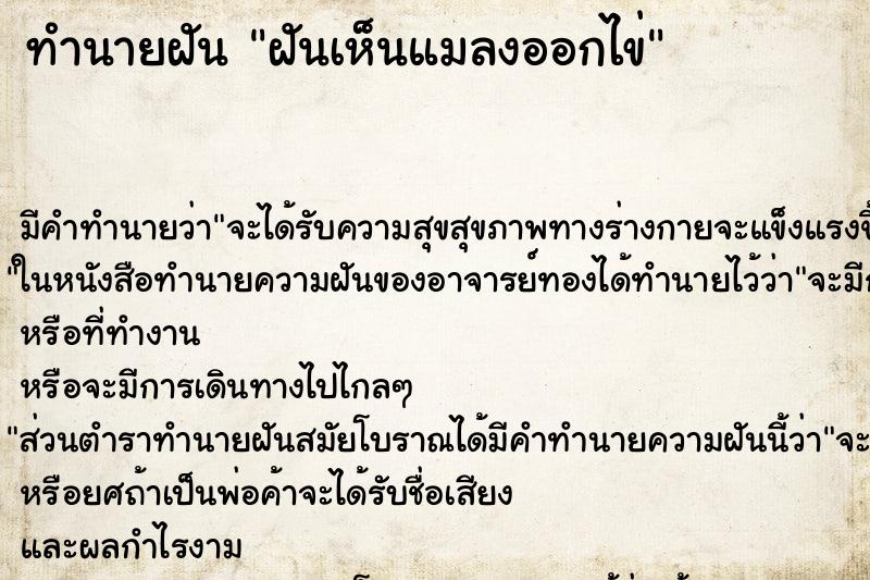 ทำนายฝัน ฝันเห็นแมลงออกไข่ ทำนายฝัน ฝันเห็นแมลงออกไข่