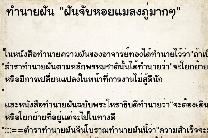 ทำนายฝัน ฝันจับหอยแมลงภู่มากๆ ทำนายฝัน ฝันจับหอยแมลงภู่มากๆ