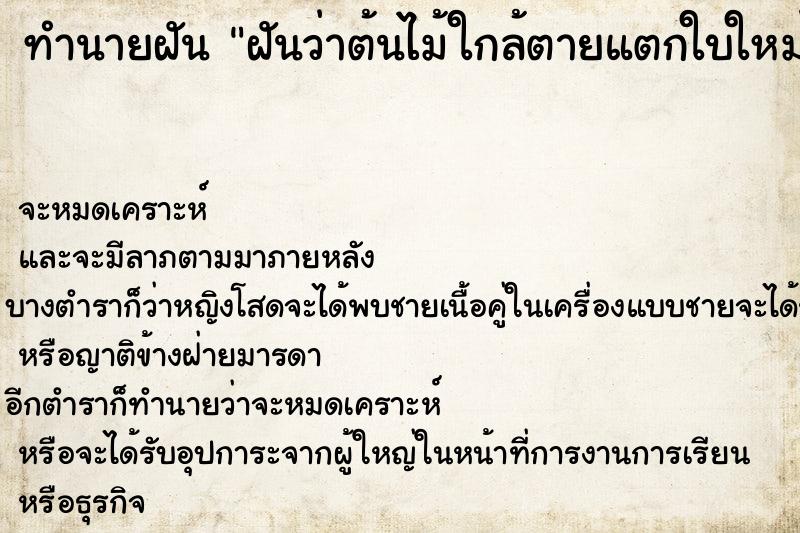 ทำนายฝันทำนายฝันฝันว่าต้นไม้ใกล้ตายแตกใบใหม่