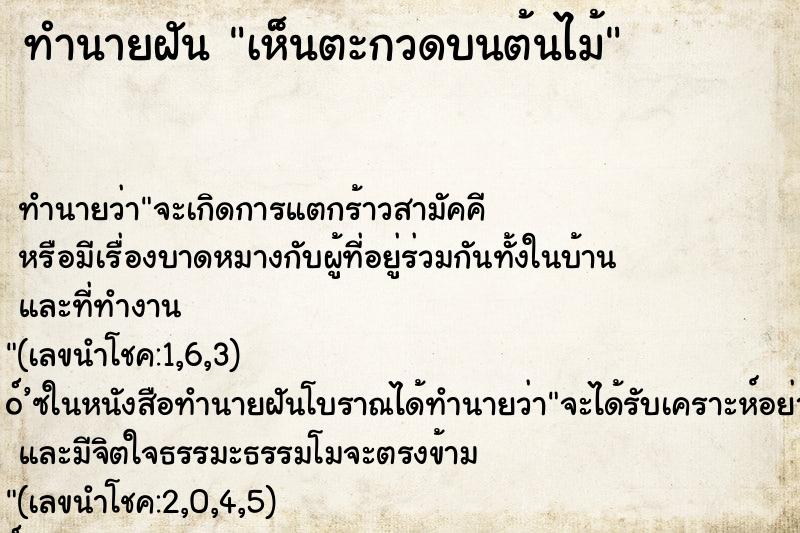 ทำนายฝันเห็นตะกวดบนต้นไม้ ทำนายฝันทำนายฝันเห็นตะกวดบนต้นไม้