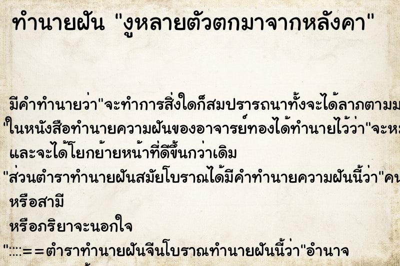 ทำนายฝันงูหลายตัวตกมาจากหลังคา ทำนายฝันทำนายฝันงูหลายตัวตกมาจากหลังคา