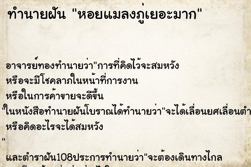 ทำนายฝันหอยแมลงภู่เยอะมาก ทำนายฝันทำนายฝันหอยแมลงภู่เยอะมาก