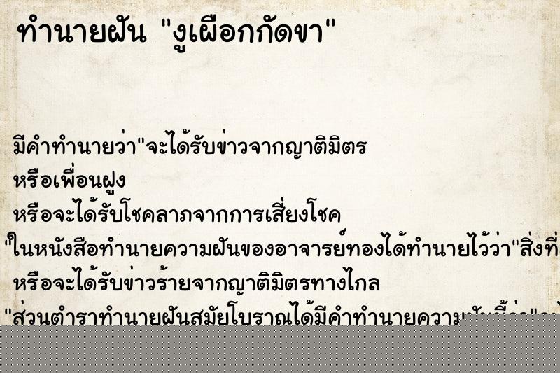 ทำนายฝันงูเผือกกัดขา ทำนายฝันทำนายฝันงูเผือกกัดขา