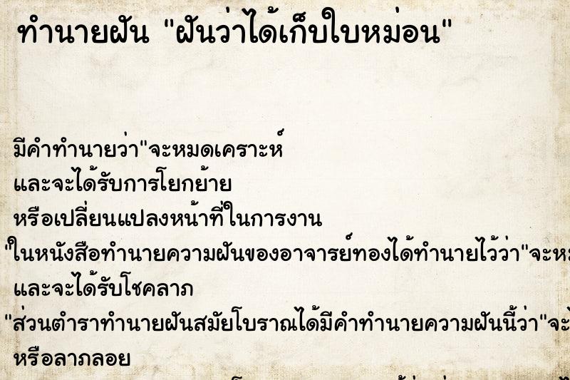 ทำนายฝันฝันว่าได้เก็บใบหม่อน ทำนายฝันทำนายฝันฝันว่าได้เก็บใบหม่อน