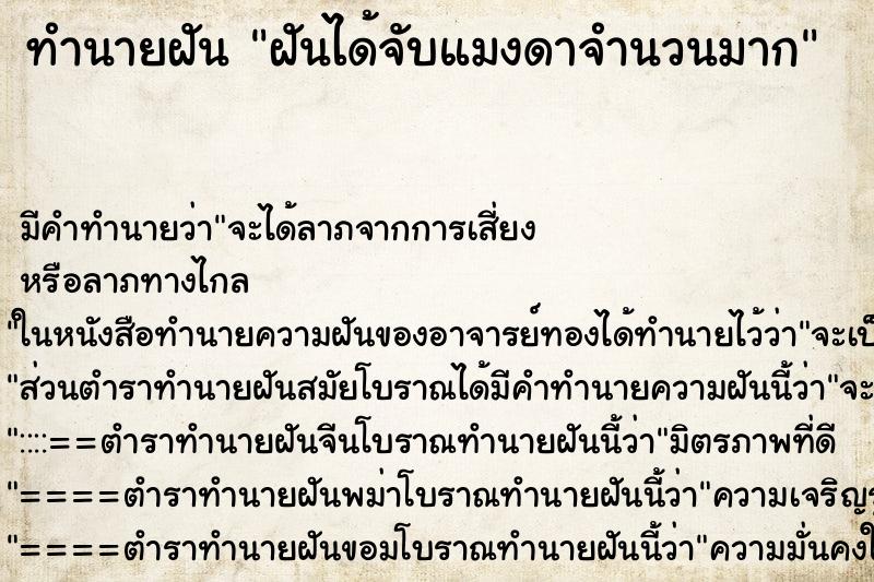 ทำนายฝันทำนายฝันฝันได้จับแมงดาจำนวนมาก
