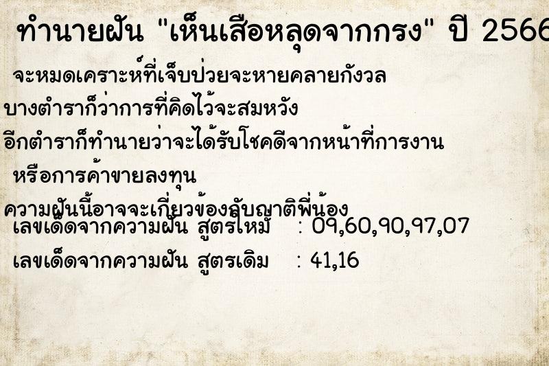 ทำนายฝัน เห็นเสือหลุดจากกรง ทำนายฝัน เห็นเสือหลุดจากกรง