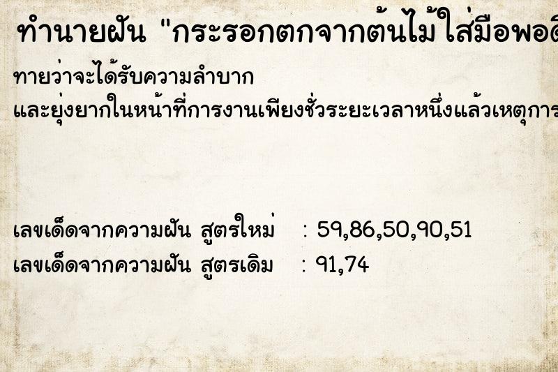 ทำนายฝัน กระรอกตกจากต้นไม้ใส่มือพอดีดีใจ ทำนายฝัน กระรอกตกจากต้นไม้ใส่มือพอดีดีใจ