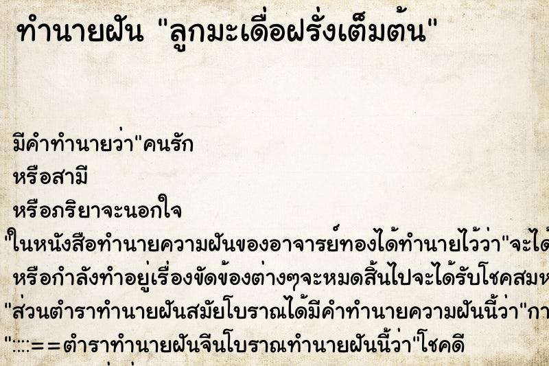 ทำนายฝัน ลูกมะเดื่อฝรั่งเต็มต้น ทำนายฝัน ลูกมะเดื่อฝรั่งเต็มต้น