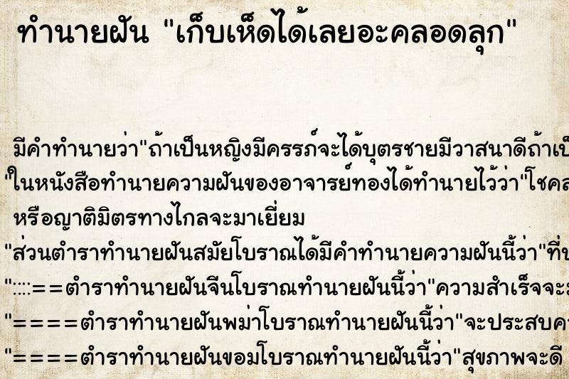 ทำนายฝันเก็บเห็ดได้เลยอะคลอดลุก ทำนายฝันทำนายฝันเก็บเห็ดได้เลยอะคลอดลุก
