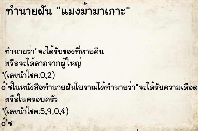 ทำนายฝัน แมงม้ามาเกาะ ทำนายฝัน แมงม้ามาเกาะ