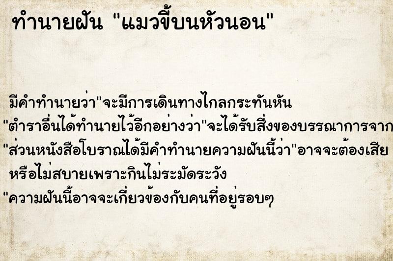 ทำนายฝัน แมวขี้บนหัวนอน